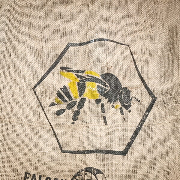 close up of a wasp on a hessian coffee sack