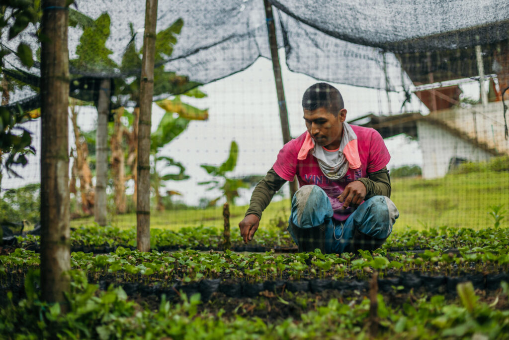Colombia Coffee Farmer