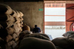 Speciality coffee beans resting in a dry warehouse