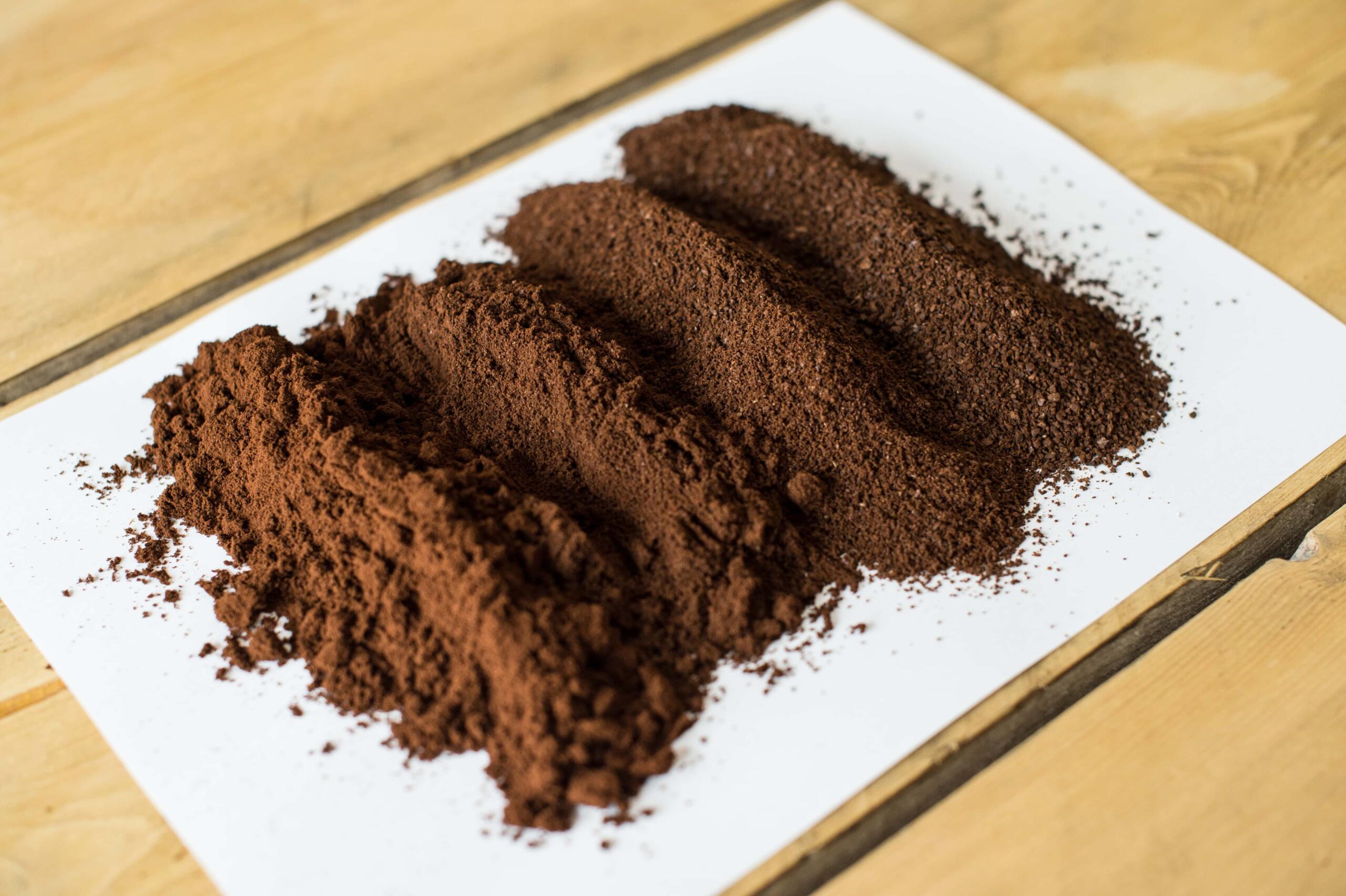 ground coffee in different grinds