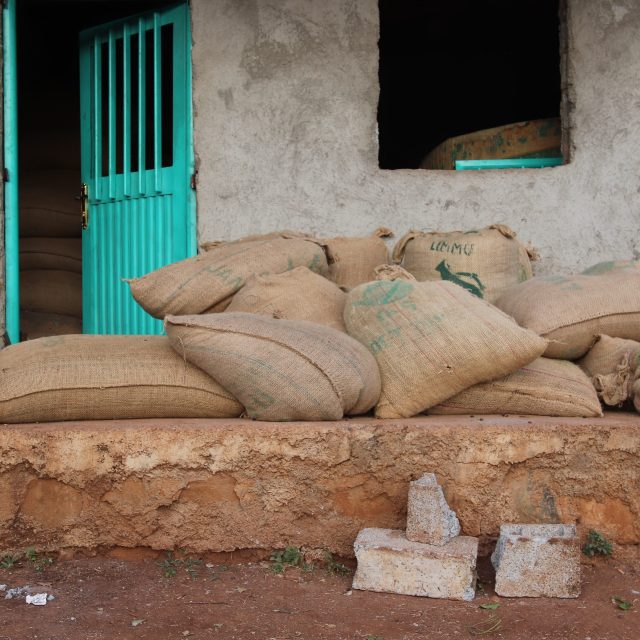 Sacks of speciality coffee stacked on a wall