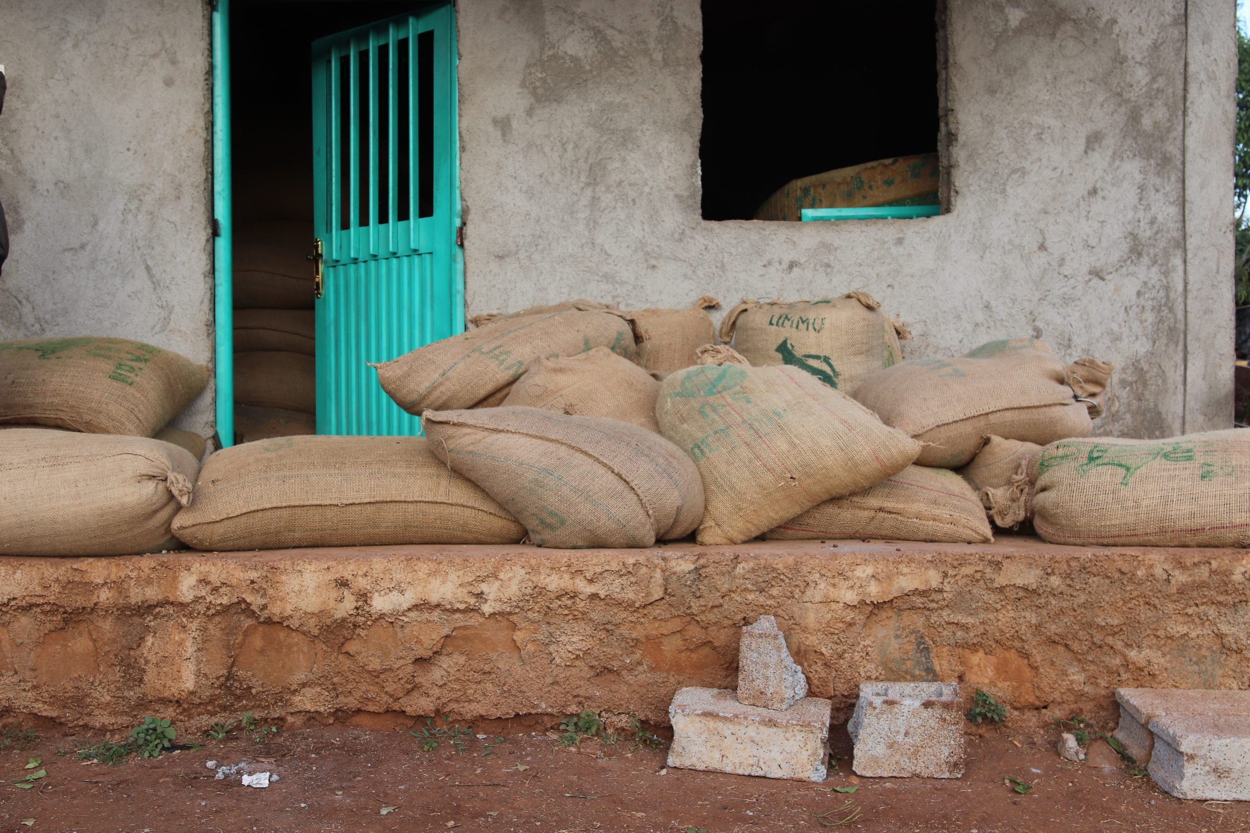 Sacks of speciality coffee stacked on a wall