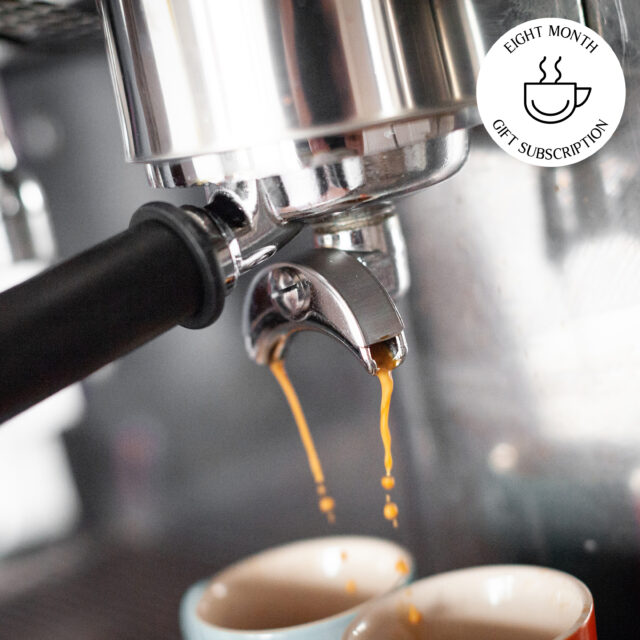 Two Chimps Eight Month Gift Subscription