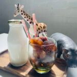 Glass of cold brew coffee with bottle of milk and zoo animal toys