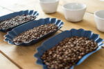 whole beans in cupping trays with cupping bowls