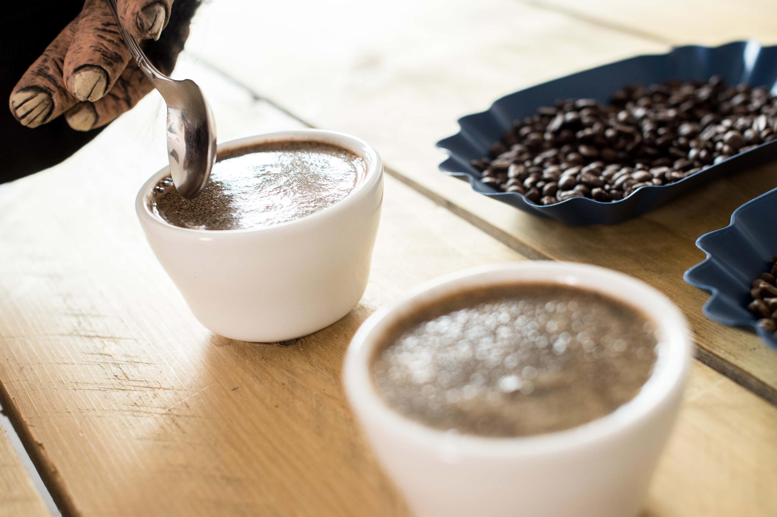 Getting ready to stir and break the crust of the coffee