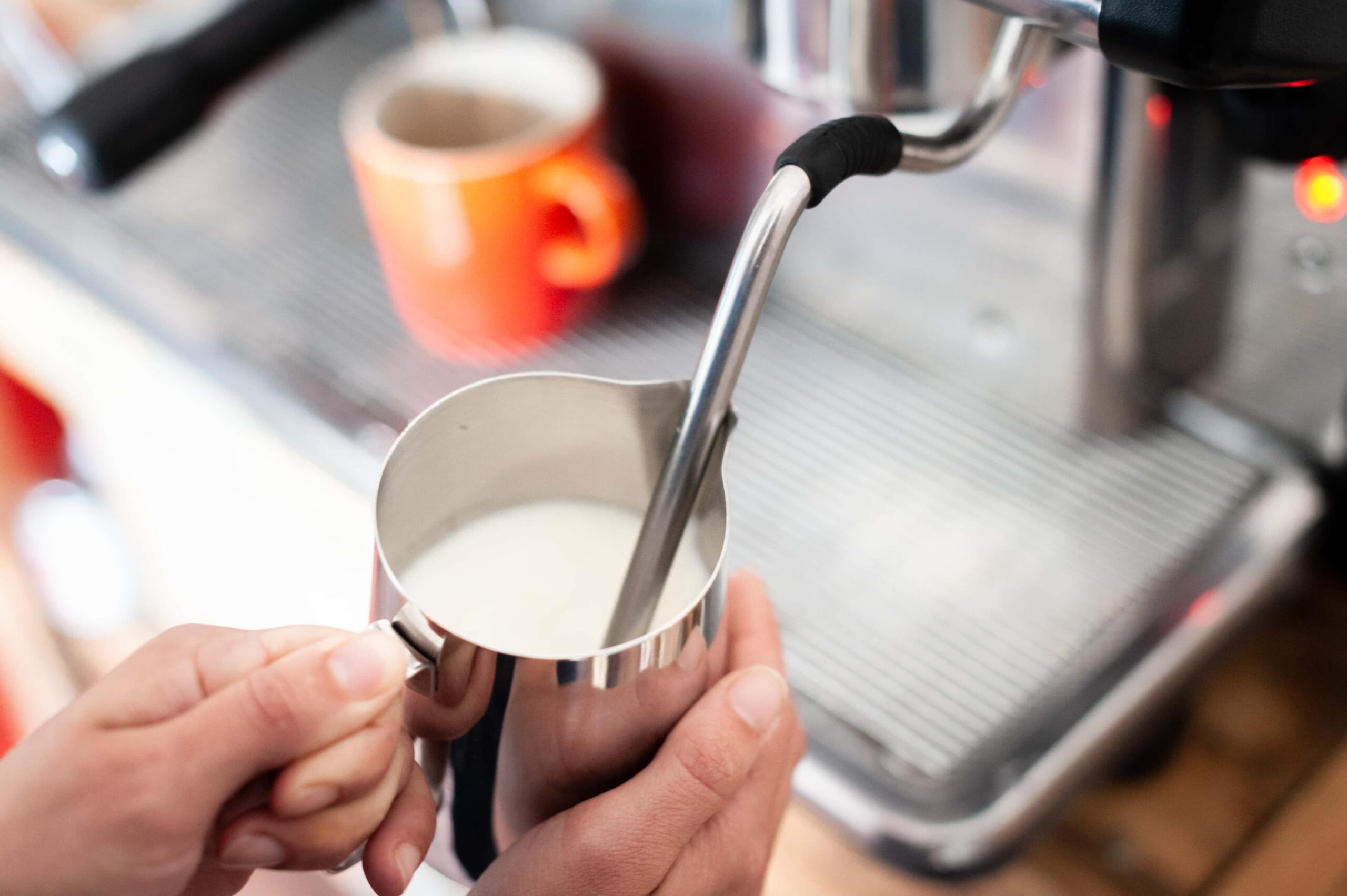 holding a jug and steaming milk for espresso drinks - two chimps coffee