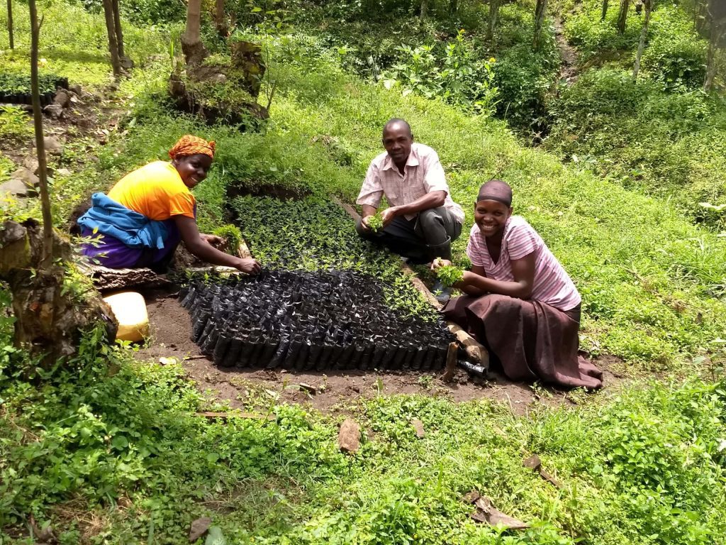 Three coffee farmers kneeling beside basket of coffee cherries