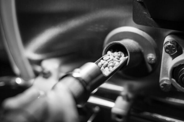 coffee in sample trowel from roaster