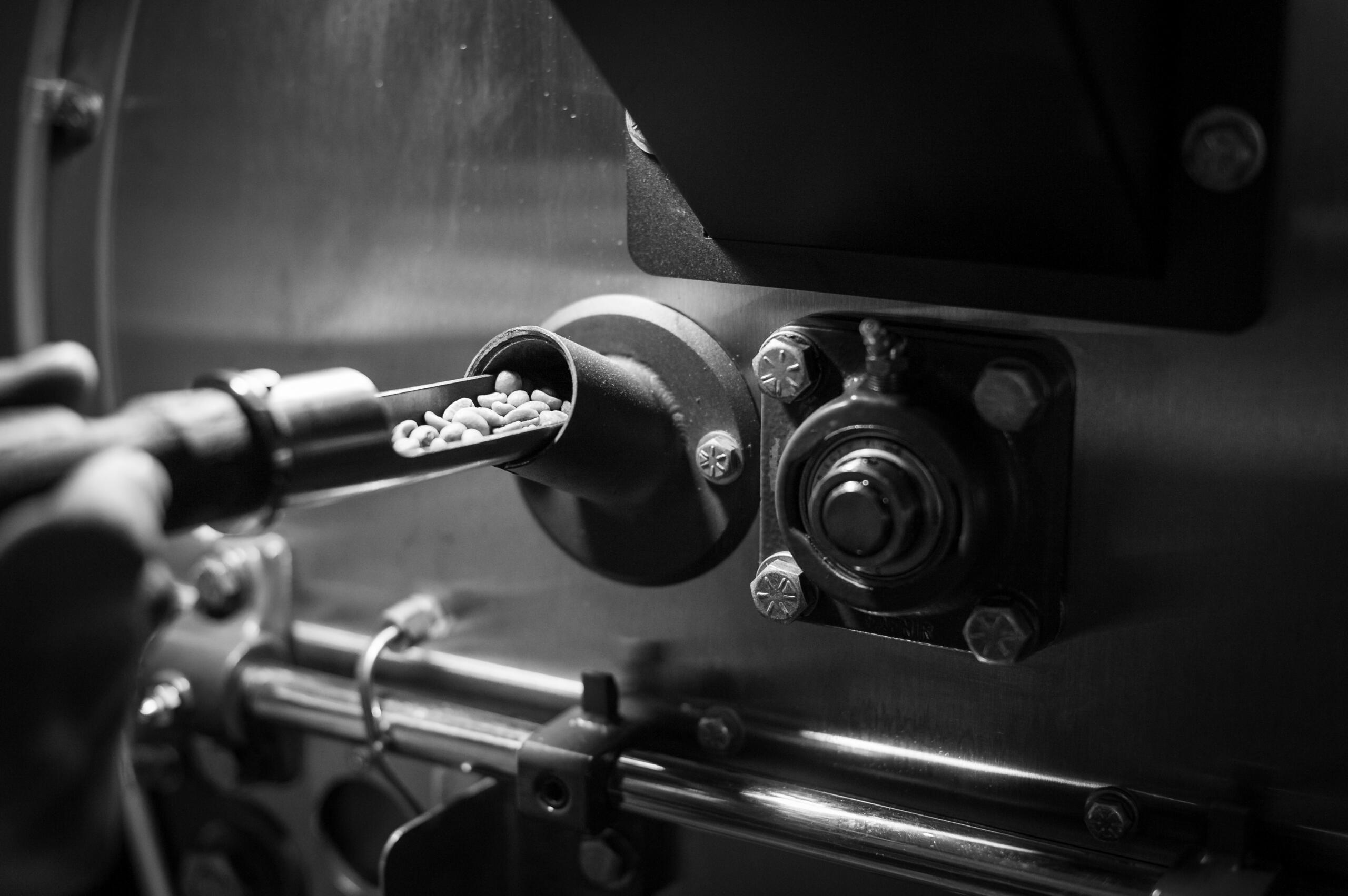 coffee in roaster sampling trowel