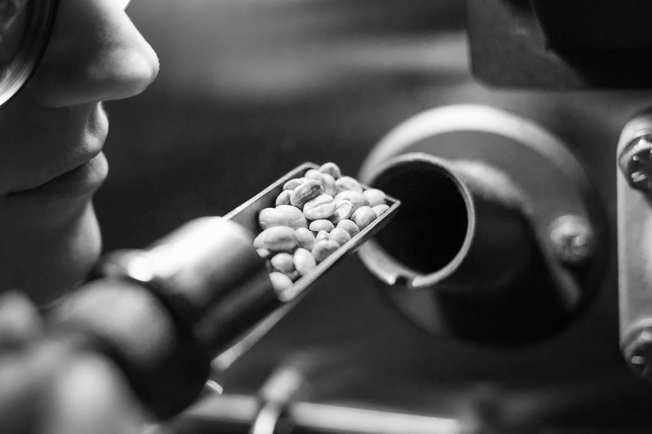 coffee being sampled from a roaster