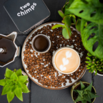 Two chimps coffee with cactus