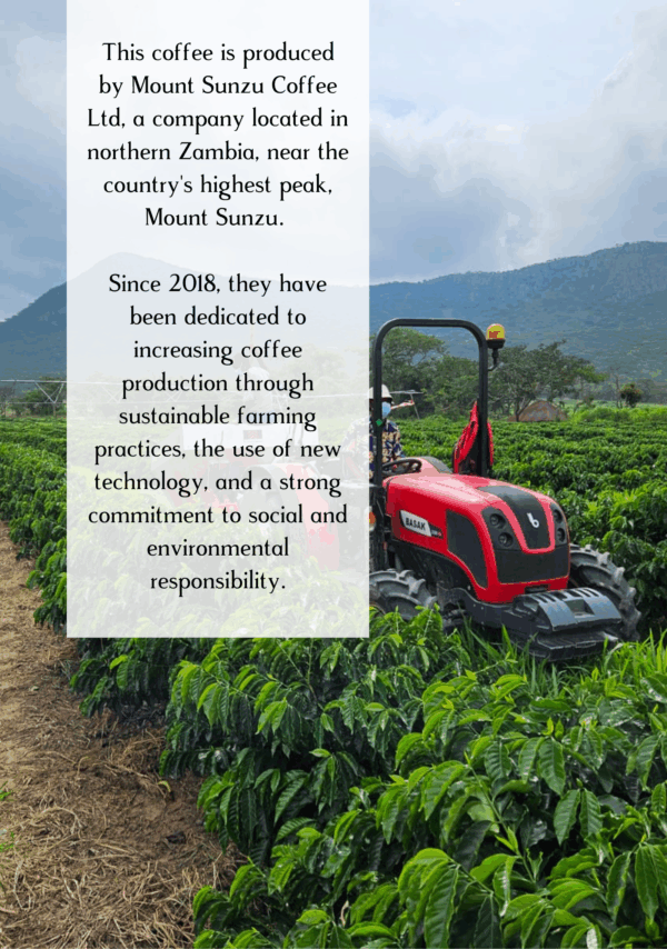 farm information relating to Buffa Lo coffee