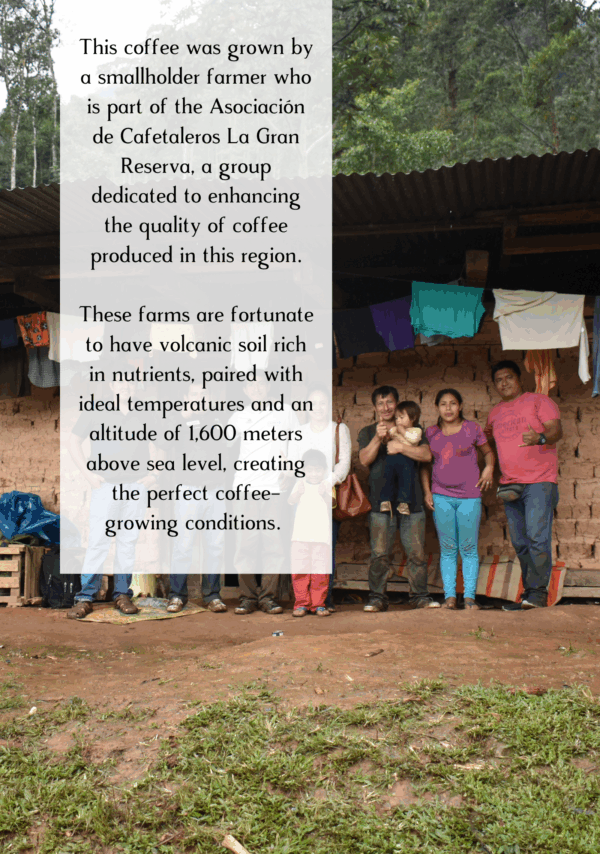 Information about Cats in Capes Peruvian Coffee