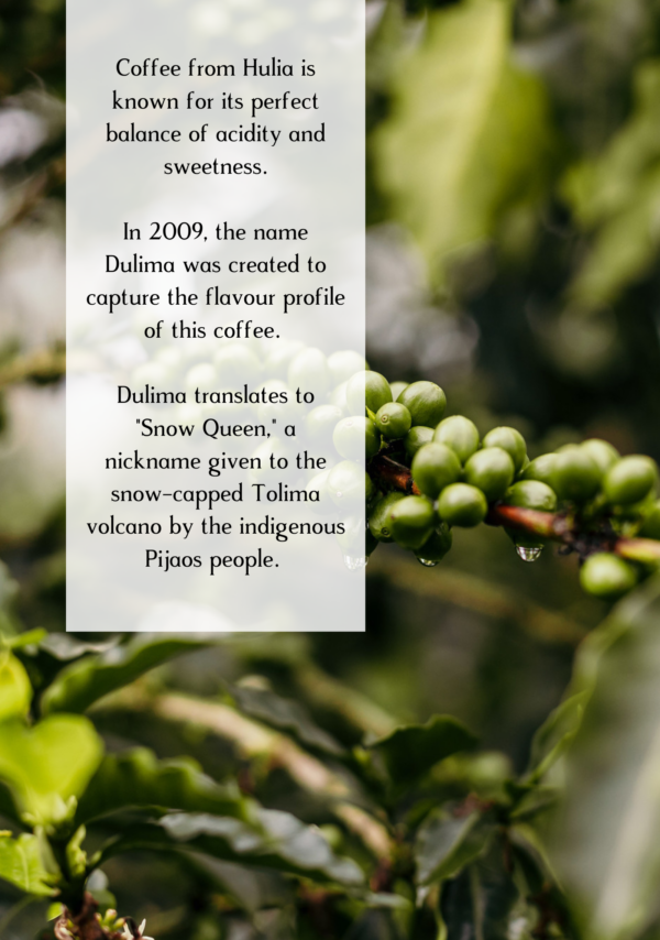 Information about Hulia Coffee