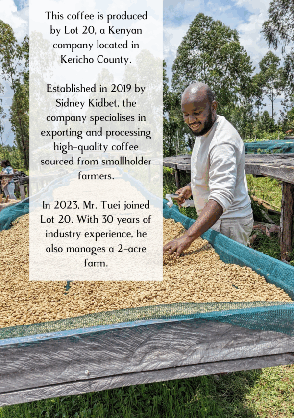 Information about Mr Tuei