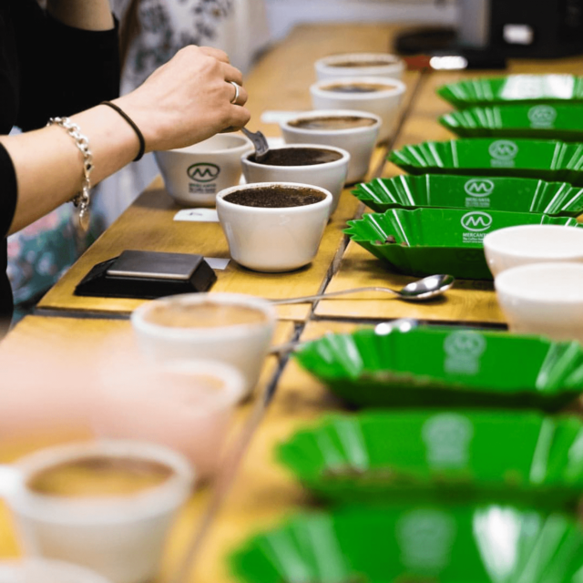 cupping coffee