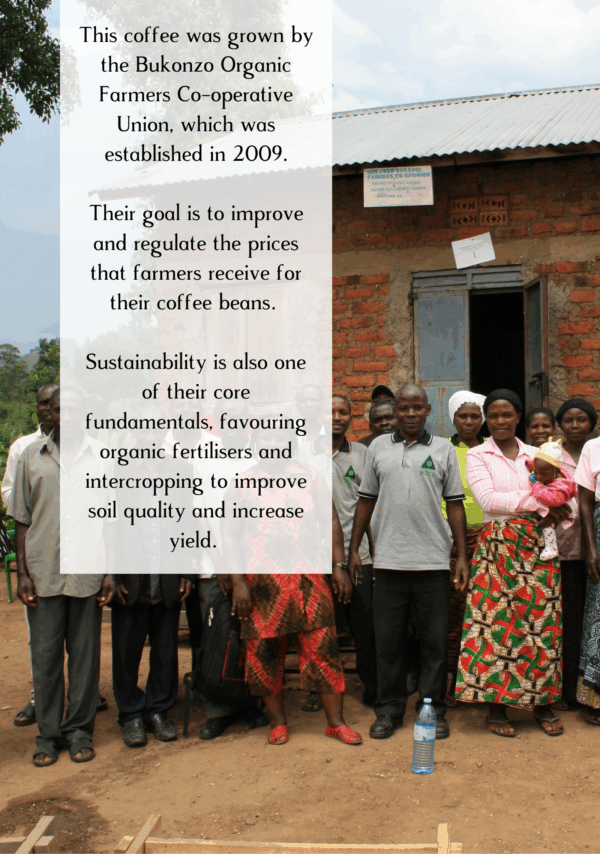 Information about bukonzo coffee farmers