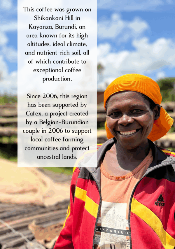 Information about Two Chimps Christmas Coffee