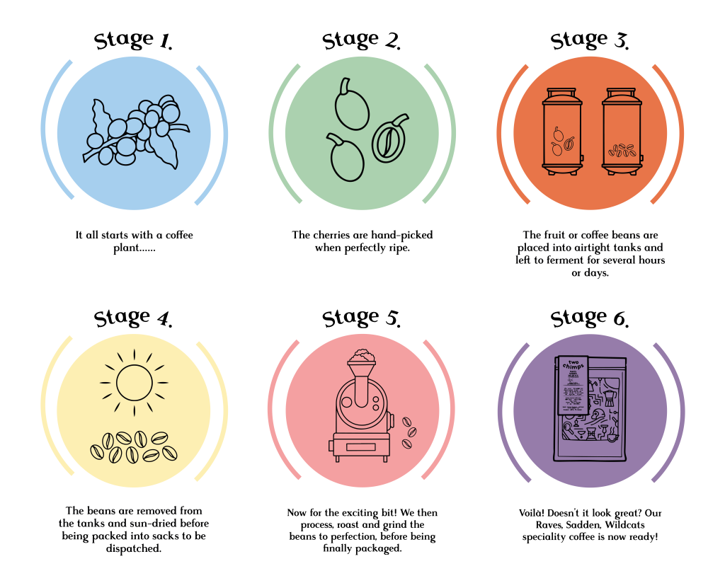 System map of Anaerobic Fermentation