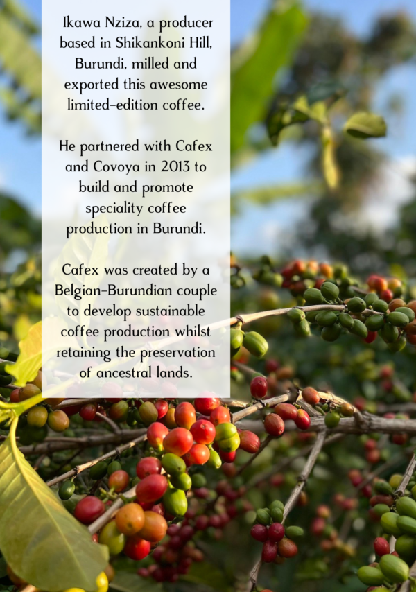 Mothers Day Coffee Farm Information