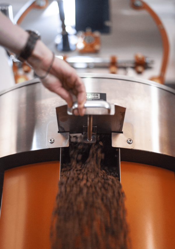 roasted coffee being dropped out of the cooling tray
